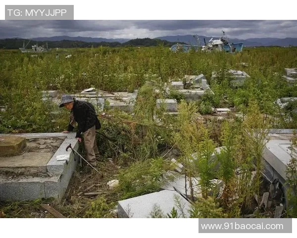 日本足球明星稻田的全名及其在足球界的成就与影响力分析